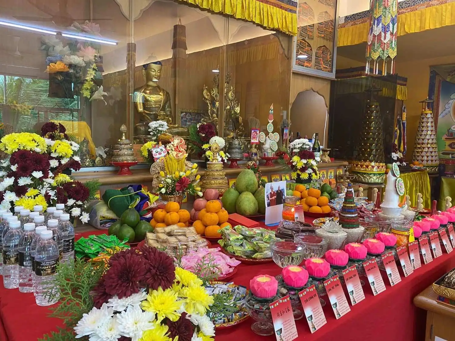 2024 Medicine Buddha